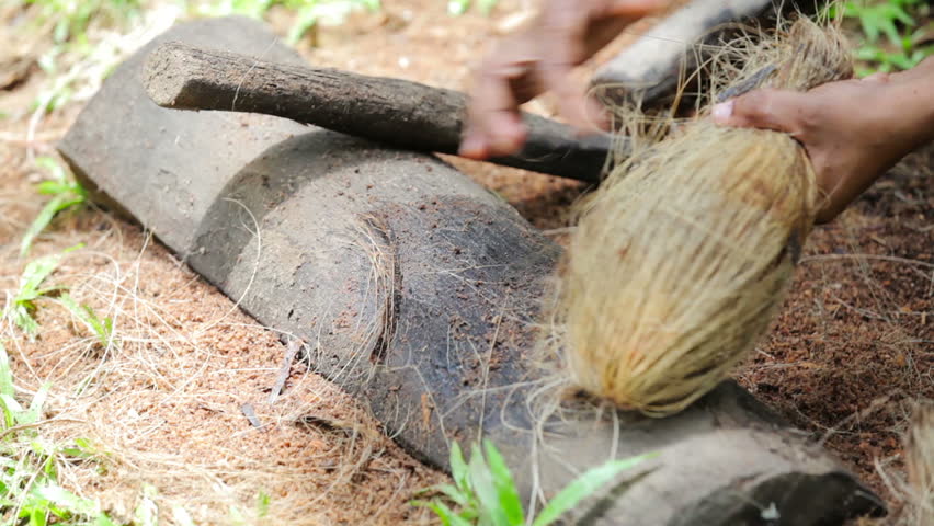 Video 1920x1080 - Manufacture of coconut fiber - softening with a stick
