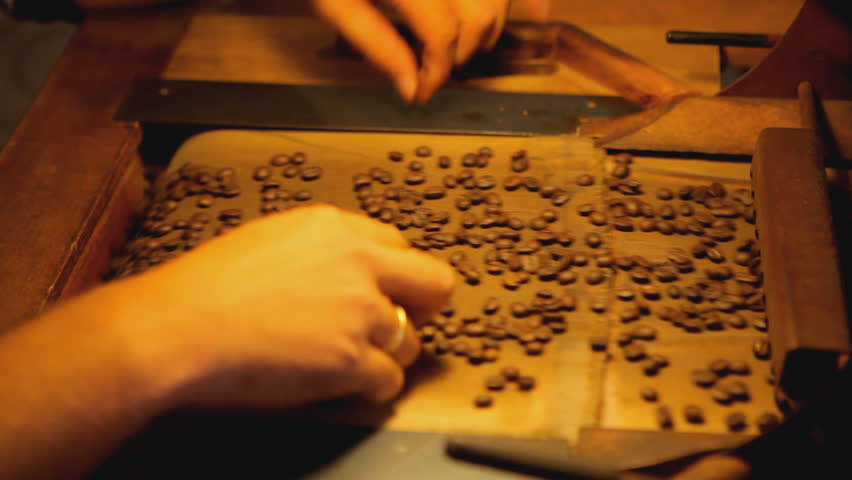 quality control of coffee beans