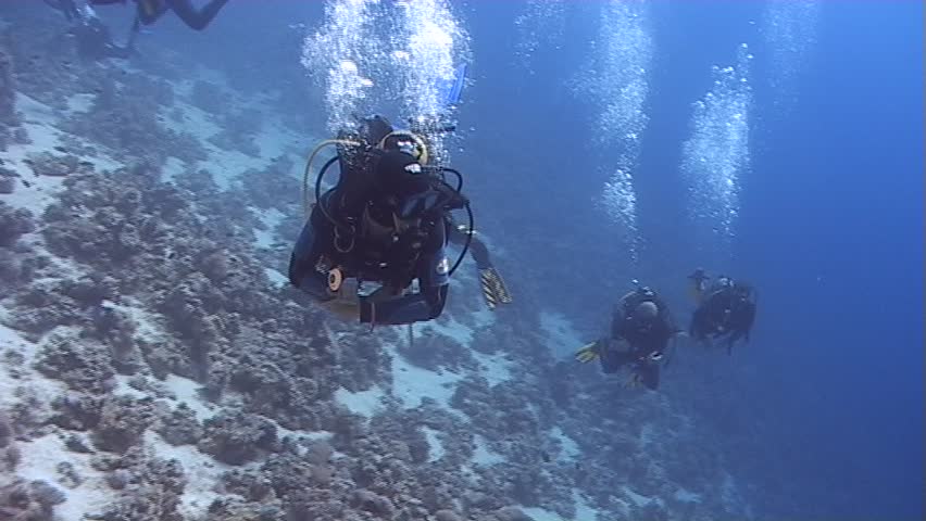 Divers in crystal clear water. Captured on a 3CCD DVCAM Camera 16:9 anamorphic