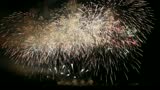 Colorful fireworks of various colors over night sky