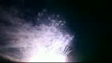 Colorful fireworks of various colors over night sky