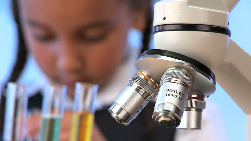 Cute african american schoolgirl early learning science