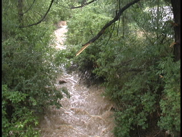 Heavy rains flood a stream with fast-moving, muddy water and a turbulent flow.