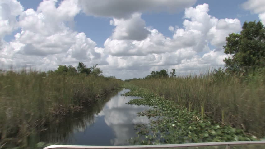 On an airboat in the Everglades