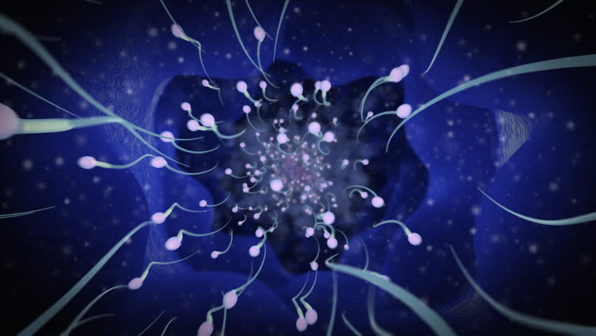 Group of sperms race in competition		 