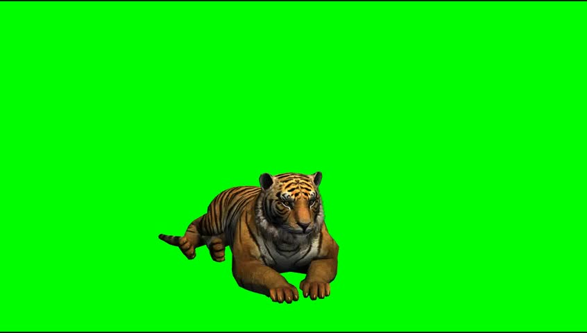 Green Screen Stock Footage