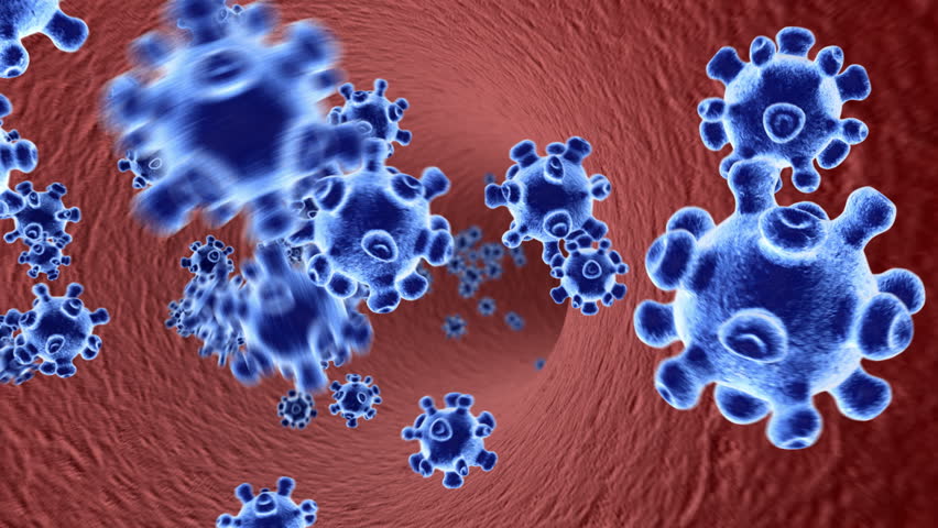 Virus infection inside the bloodstream in a human body 