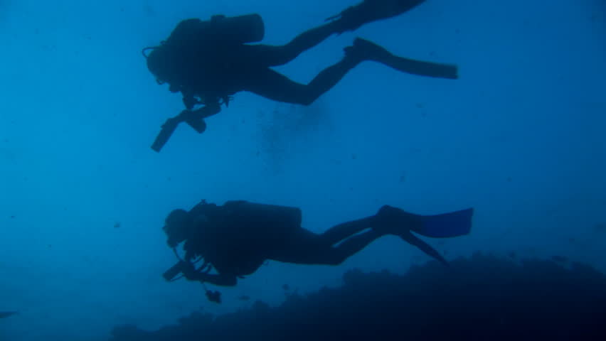 two divers during a nightdive against the surface