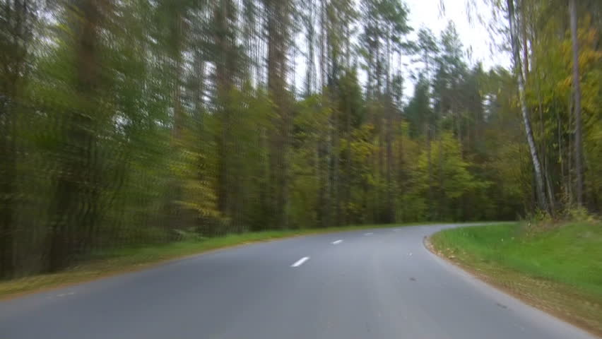 road in the autumn forest