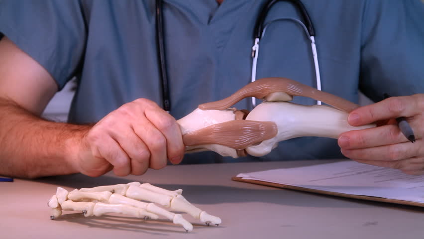 A doctor or intern studying a skeletal model of the human knee.