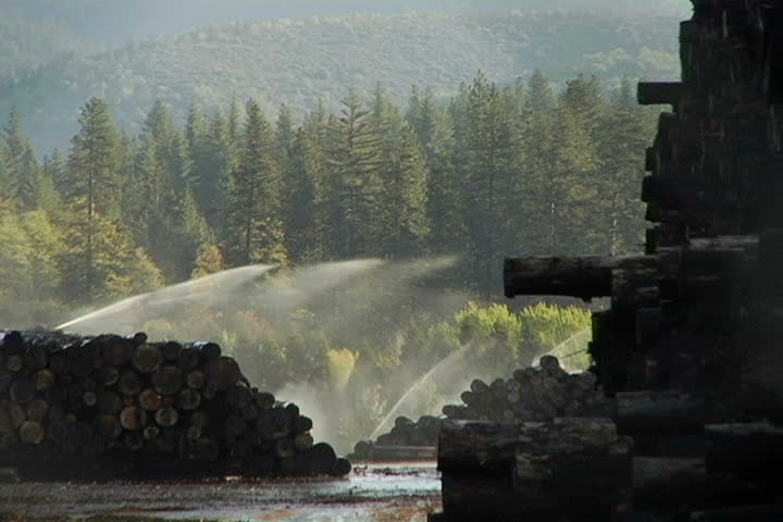 Pan across irrigation sprinklers, keeping stacks of timber wet at a sawmill.