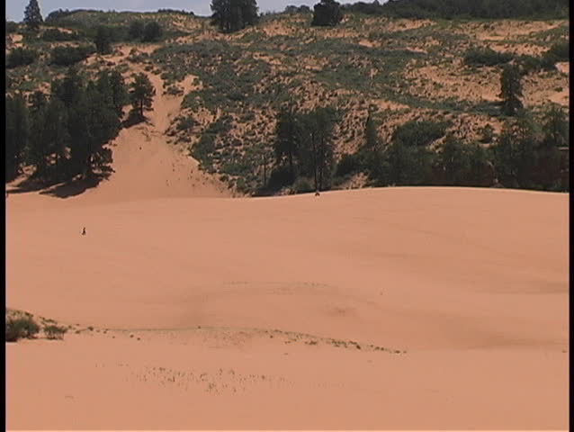ATVs zoom across the pink and red sands of the Coral Pink Sands State Park in Utah.