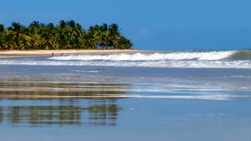 Tropical Beach Vacation 