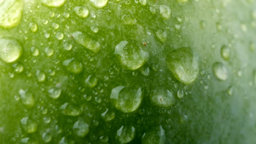 Dew on the green apple. Macro shot