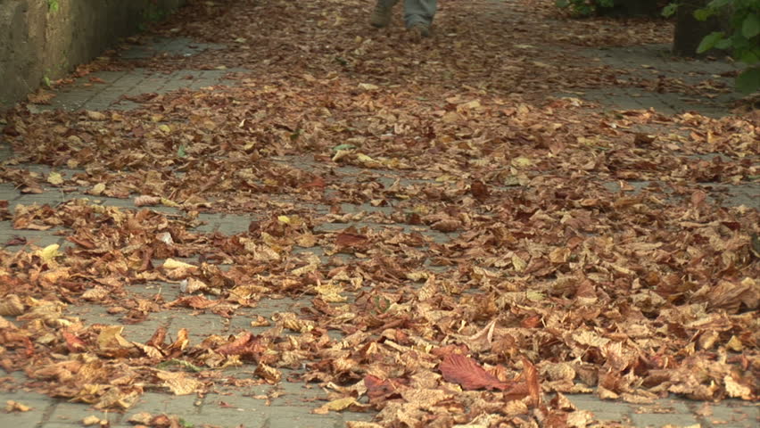 Walking Through Autumn Leaves