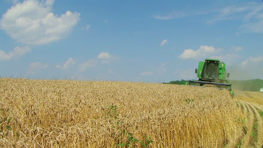 FALMOUTH - JUNE 23: Farmer (name withheld) from Falmouth, KY harvesting wheat crop on his farm June 23, 2009 in Falmouth, KY.  