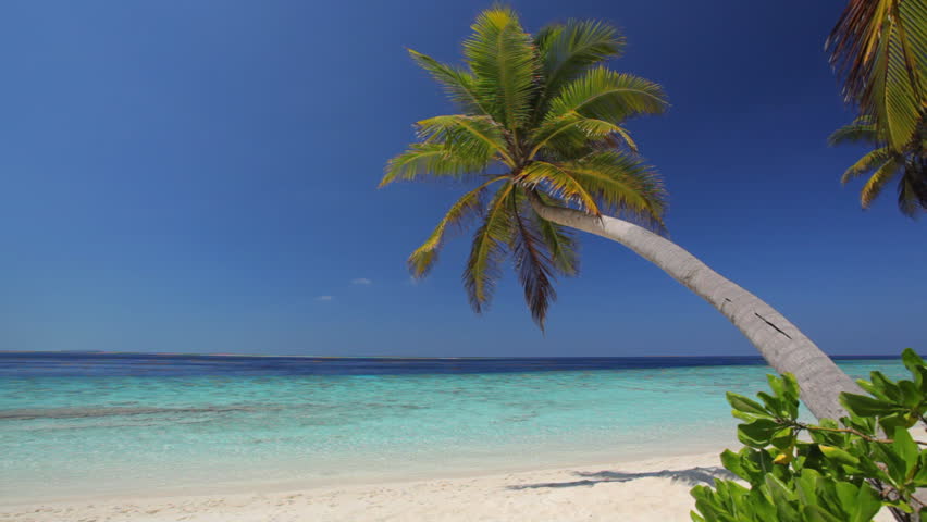the perfect beach shot with place for text