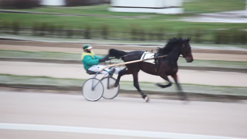 on hippodrome jockey sits in carts and operated thoroughbred horse 