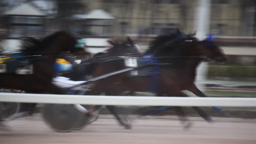 jockeys in carts harnessed of horses, quickly move on hippodrome path 