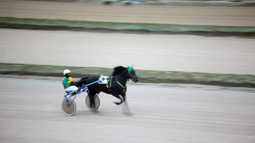 on hippodrome close up jockey sits in vehicle and conducts racer on track 