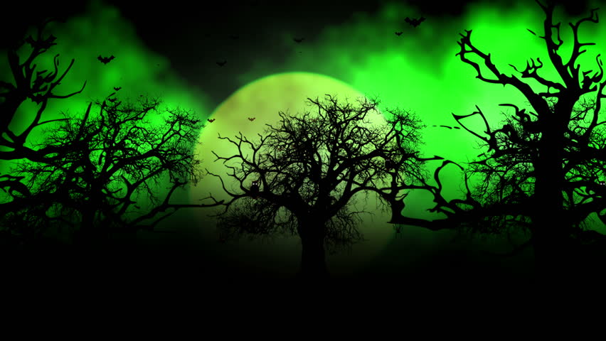 Dark Forest Stock Footage Video 9245414 | Shutterstock