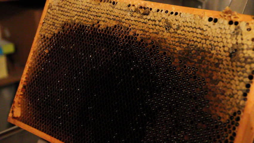 opening some honeycombs