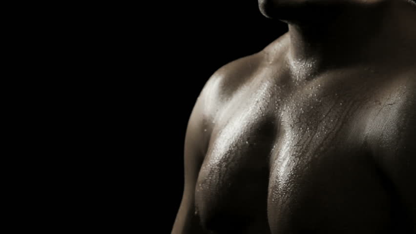 Boxer in Dark