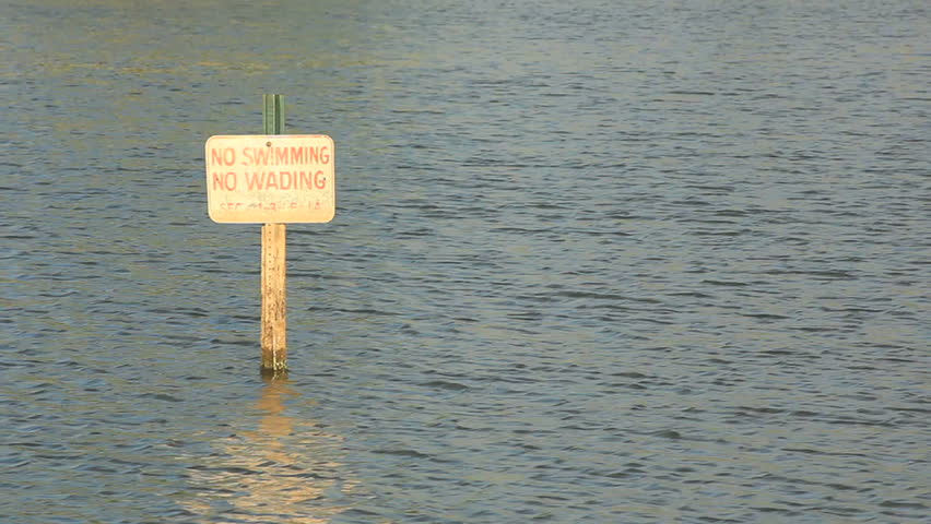 A warning sign reads "No swimming...no wading" while the waters move gently past the background. Long shot.