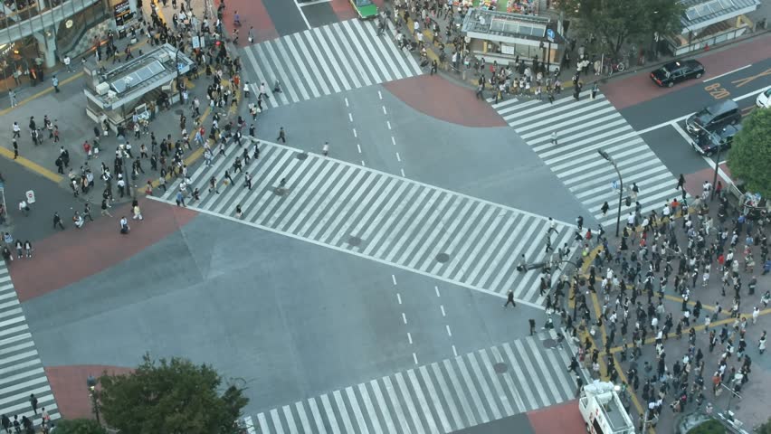 Time lapse famous Shibuya (Tokyo) cross-walk from high above (rare view) at sunset. It is getting dark in the video. All trademarks are blurred or erased. 