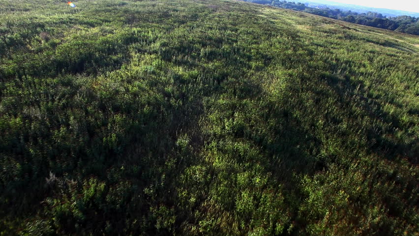 view from hot air balloon of forest