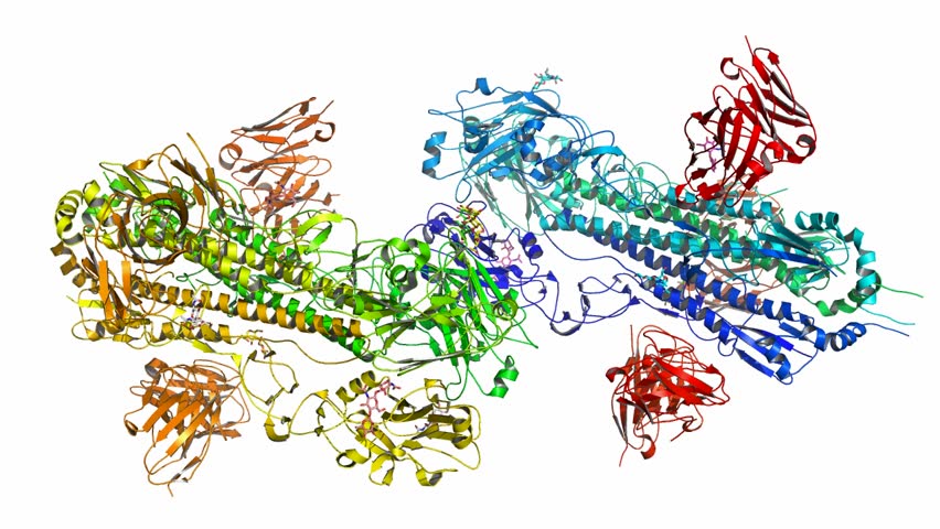 Antibody F10 in complex with influenza hemagglutinin (H5)