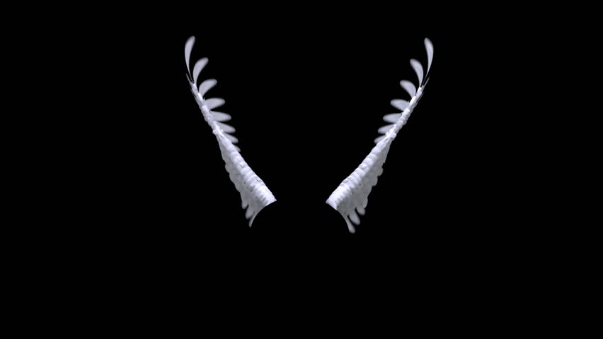 Angel Wings