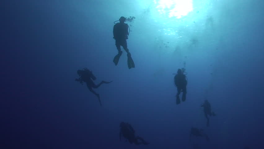 Silhouette shot of a group of scuba divers in blue water