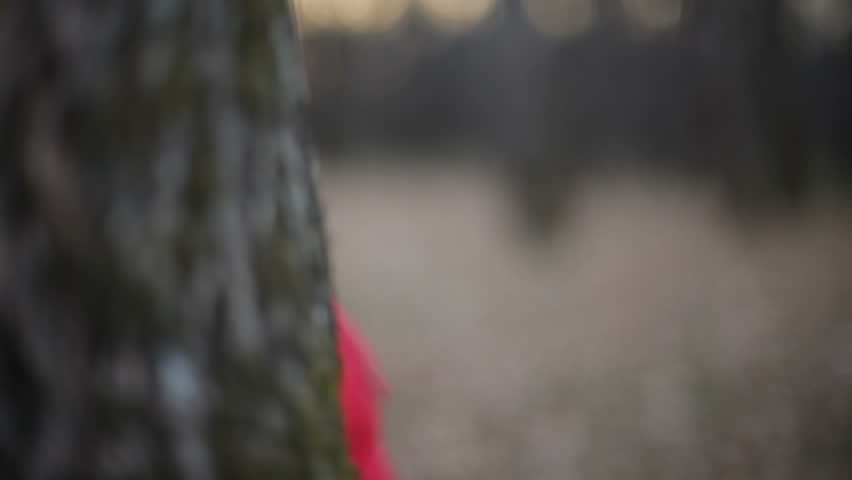 boy hiding behind tree