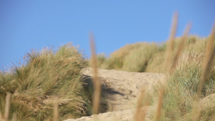 Attractive young caucasian family enjoying vacation time together on coastal sand dunes