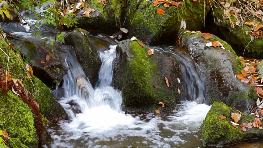 Falls on the small mountain river