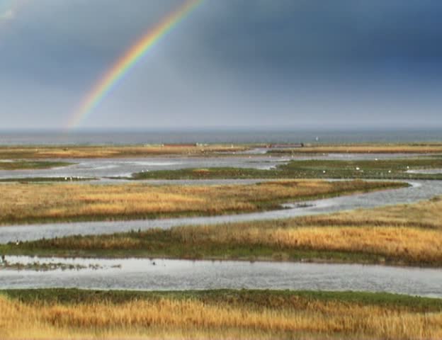 lagoon