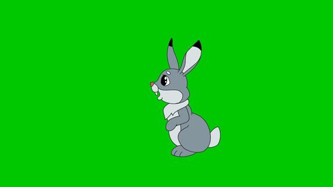 Cartoon Character Hand Drawn Animated Hare Stock Footage Video (100%  Royalty-free) 1007604178 | Shutterstock