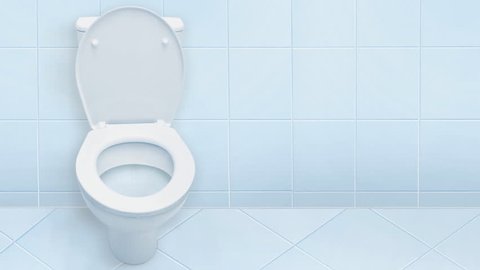 Toilet Bathroom Background Stock Footage Video (100% Royalty-free)  1008024988 | Shutterstock