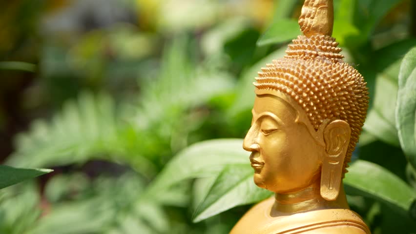 Image result for gautam budhha images