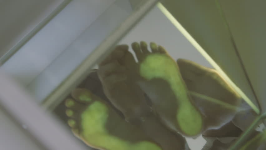 Header of ortho