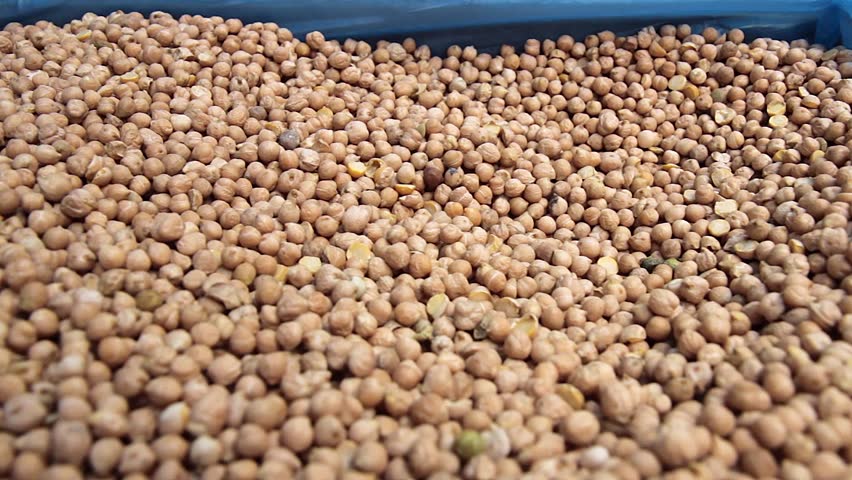 Header of chickpea