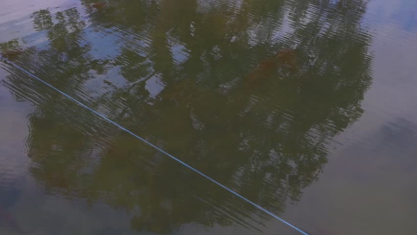 Header of glassy