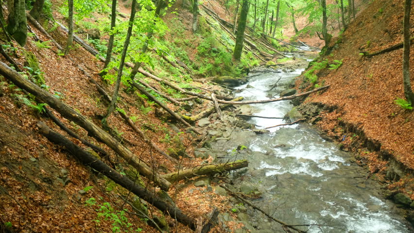 Streams and landscape in Great Smoky Mountains National Park, Tennessee ...