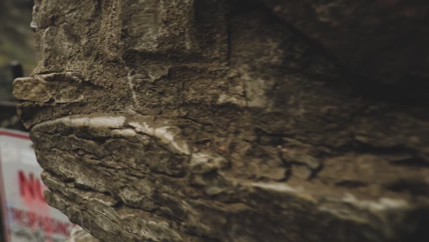 Header of revel