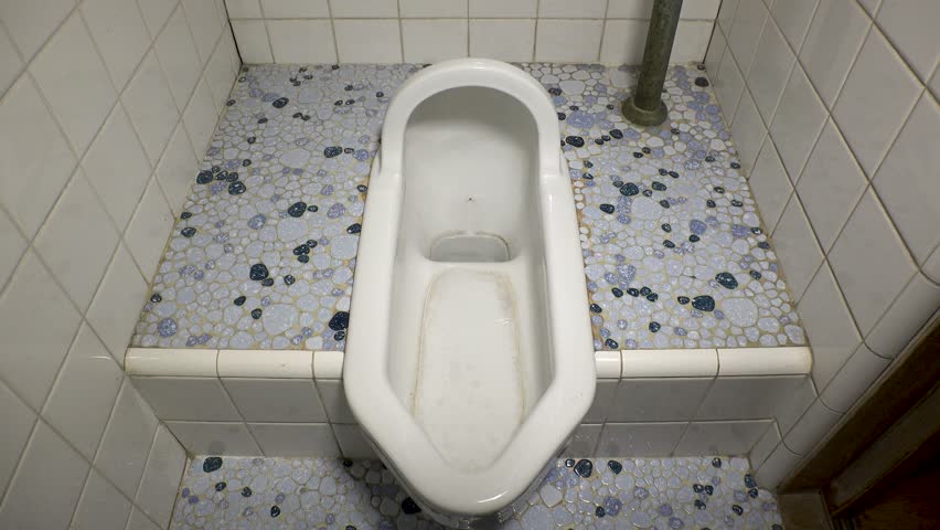 traditional japanese squat toilets