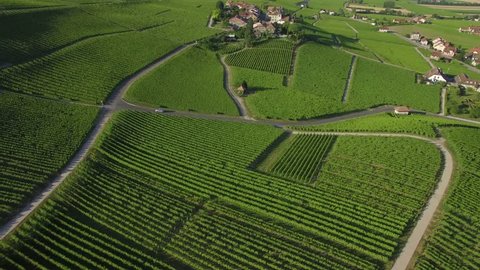 4K ungraded Aerial footage of Vineyard fields between Lausanne and Geneva in Switzerland -UHD