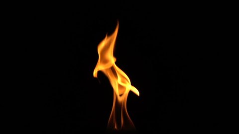 Fireplace Wallpaper Stock Video Footage 4k And Hd Video Clips