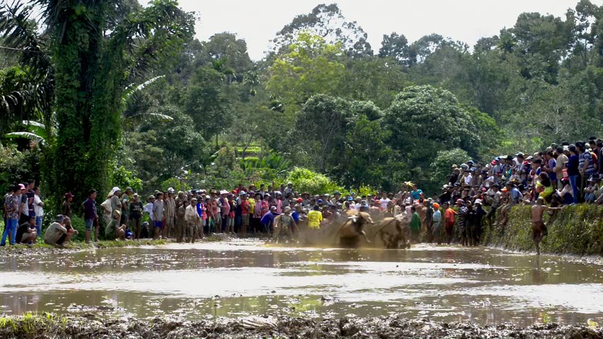 Padang, Indonesia - November 2018: Stock Footage Video ...