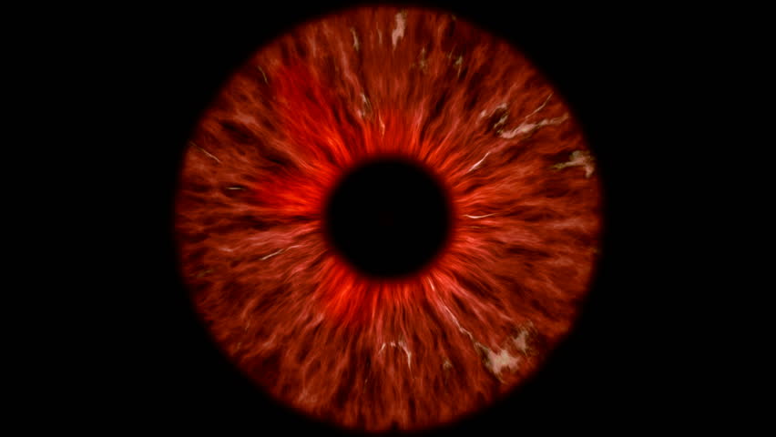 4k00 09the Red Eye Is An Extreme Close Up Of The Iris And Pupil